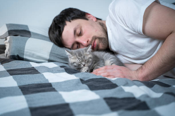 istock Man Lying on Bed and Caring for Kitten 1345374352