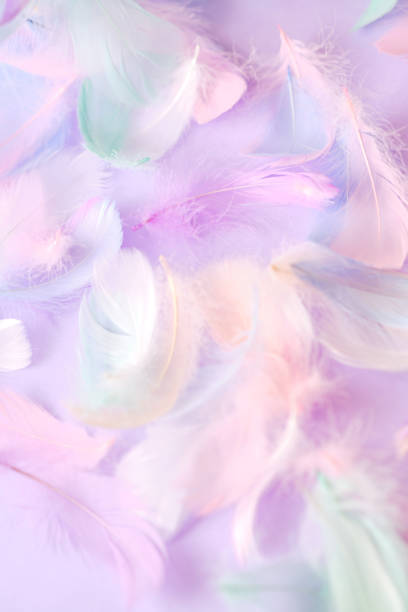 istock Colorful many feathers on purple fluffy background 1345374454