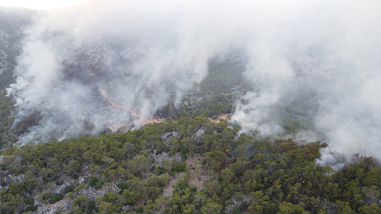 Summer forest fires. Smoke of a forest fire in the valley. Natural disasters. Aerial view