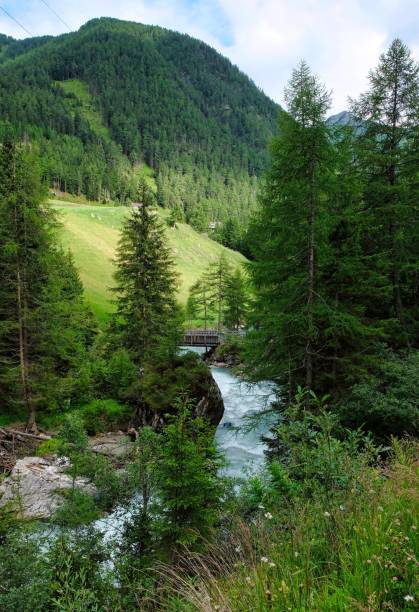 istock wanderpath in the rocks near a wild river 1345375358