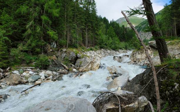 istock wanderpath in the rocks near a wild river 1345375391
