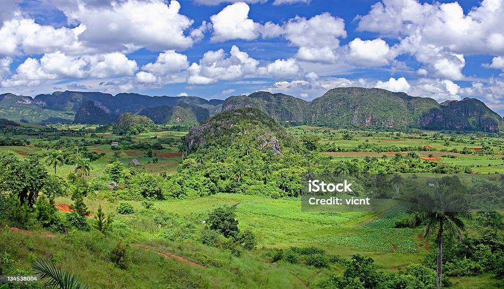 Vallée de Cuba - Photo de Beauté de la nature libre de droits