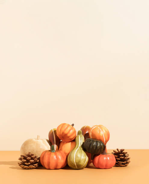 istock Creative autumn Halloween layout with various pumpkins, gourds and pine cones on beige backgound. Minimal seasonal creative concept with copy space. Nature concept. Autumn colors. 1345381512
