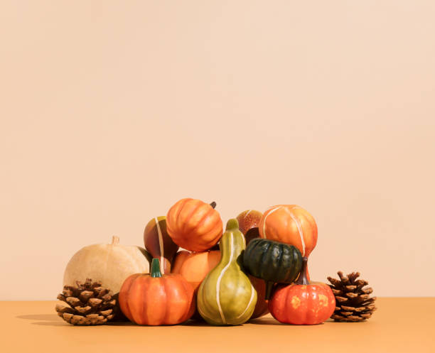 istock Creative autumn Halloween layout with various pumpkins, gourds and pine cones on beige backgound. Minimal seasonal creative concept with copy space. Nature concept. Autumn colors. 1345381518