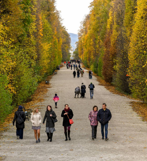 Vienna, Austria - November 2019: People walking through an avenue of trees in autumn colours near the Schonbrunn Palace in Vienna.