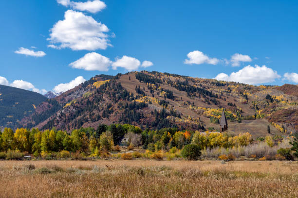 istock Autumn leaf colors in Colorado 1345383481