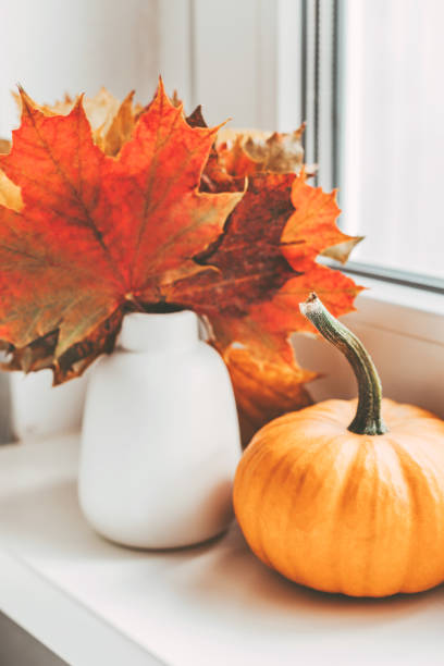 istock Autumn home decoration on the window using dry leaves and pumpkin 1345383600