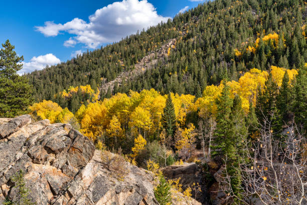 istock Autumn leaf colors in Colorado 1345383630