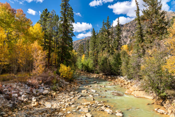 istock Autumn leaf colors in Colorado 1345384074