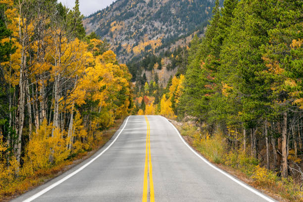 istock Autumn leaf colors in Colorado 1345384962