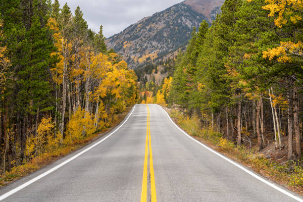 istock Autumn leaf colors in Colorado 1345385066
