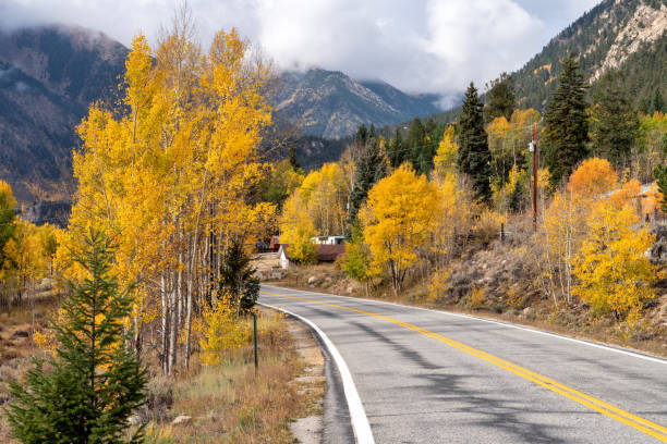 istock Autumn leaf colors in Colorado 1345385275