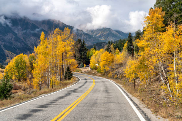 istock Autumn leaf colors in Colorado 1345385350