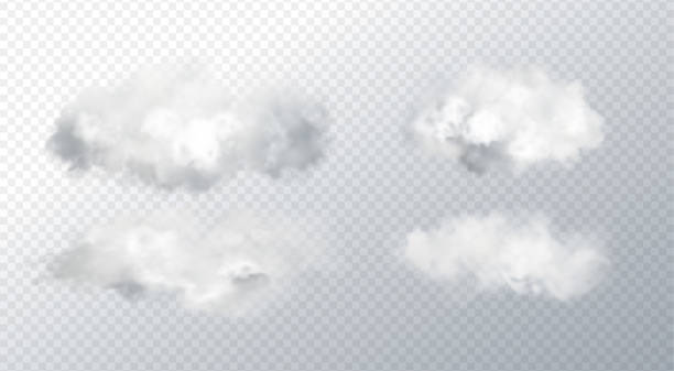 Vector Abstract realistic fog cloud design element Vector Abstract realistic fog cloud design element on transparent background. White smoke For website, greeting, discount voucher, greeting and poster design cotton ball stock illustrations