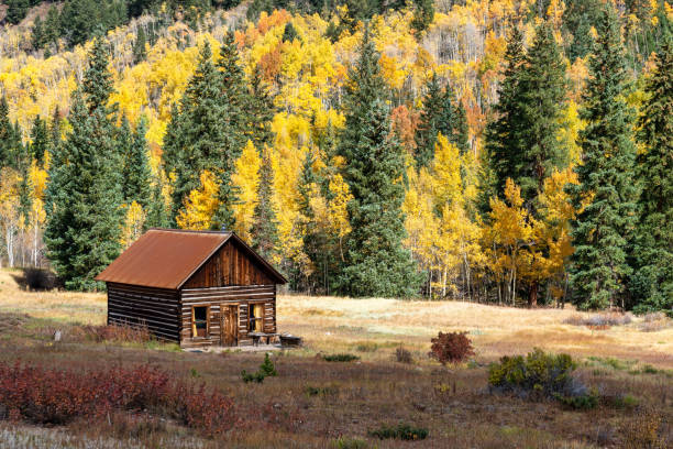 istock Abandoned ghost town in Colorado 1345386434