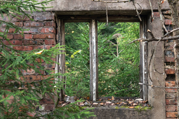 istock Broken window of an abandoned building in the forest 1345387233