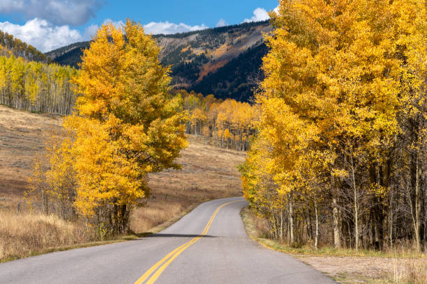 istock Autumn leaf colors in Colorado 1345387425