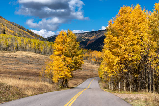 istock Autumn leaf colors in Colorado 1345387426