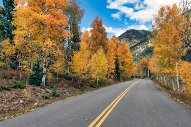 istock Autumn leaf colors in Colorado 1345387427