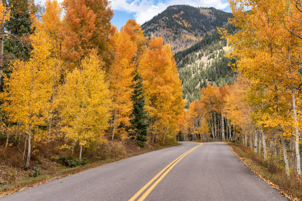 istock Autumn leaf colors in Colorado 1345387655