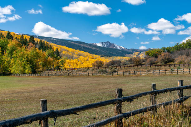 istock Autumn leaf colors in Colorado 1345388635