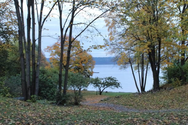 istock Colourful autumn and seascape 1345389404