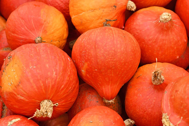 istock Red Kuri Hokkaido squashes 1345389448