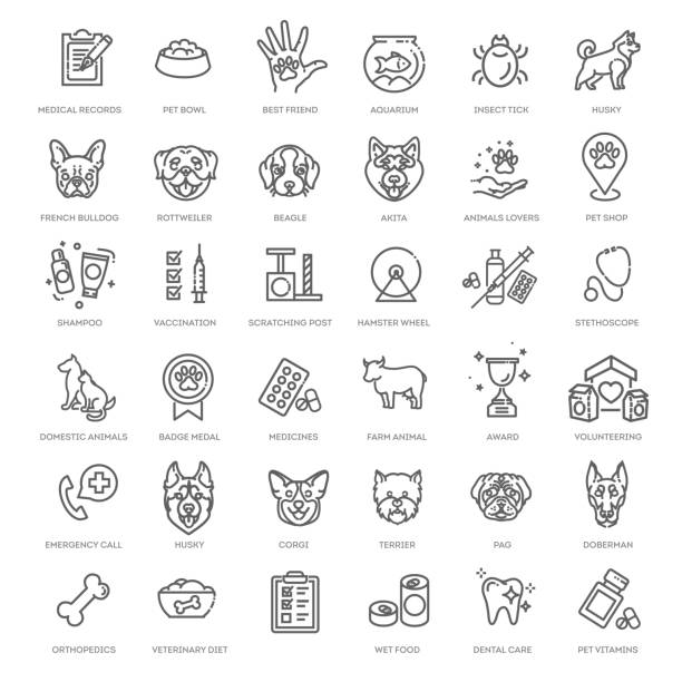 ilustrações de stock, clip art, desenhos animados e ícones de big vector set, outline web icon set - pet, vet, pet shop, types of pets - clínica veterinária