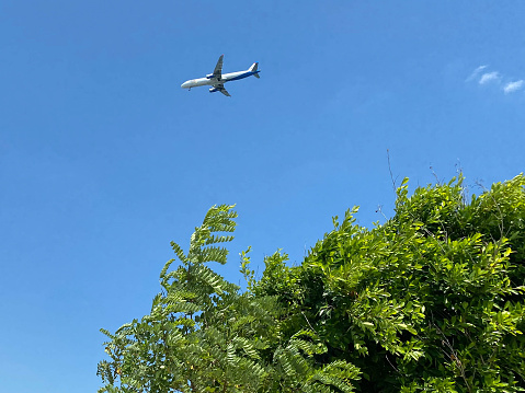 Green tree branches, sunshine, blue sky, clouds and airplane flying. stretch ceiling model.