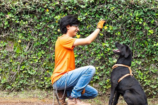 young man wearing an orange T-shirt, kneeling down, petting a black dog and showing him a ball.