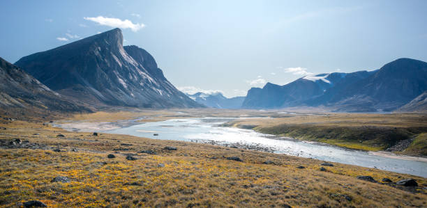 Wild Owl River winds through remote arctic landscape in Akshayuk Pass, Baffin Island, Canada. Moss valley floor and dramatic cliffs. Sunny day of arctic summer in remote wilderness far north. stock photo