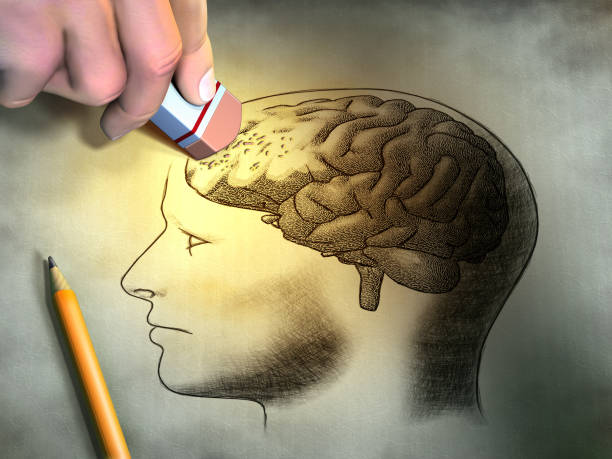 Losing Memories Someone is erasing a drawing of the human brain. Conceptual image relating to dementia and memory loss. Digital illustration. dementia stock pictures, royalty-free photos & images