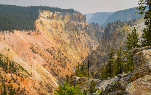 grand canyon de la rivière yellowstone - eroded water grand canyon of yellowstone river river photos et images de collection