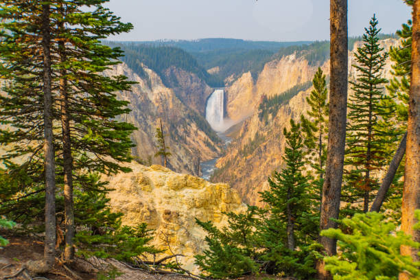 grand canyon de la rivière yellowstone - eroded water grand canyon of yellowstone river river photos et images de collection