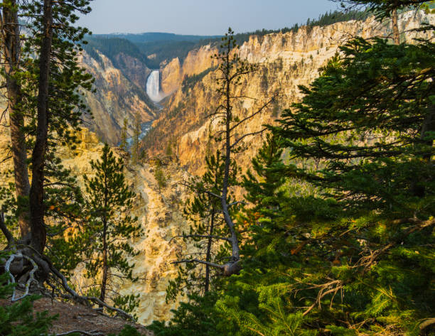 grand canyon de la rivière yellowstone - eroded water grand canyon of yellowstone river river photos et images de collection