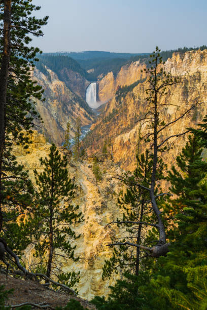 grand canyon de la rivière yellowstone - eroded water grand canyon of yellowstone river river photos et images de collection