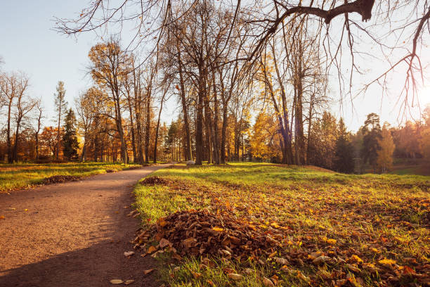 istock Fall season outdoor 1345393474
