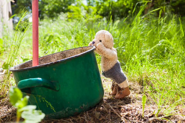 Curious little teddy bear stand on tiptoes to look inside an old dirty cooking pot in use as rainwater tank at backyard garden