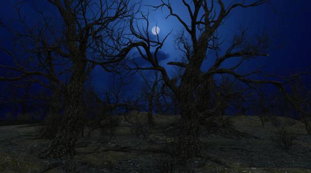 istock Scary night forest with a full moon 3d illustration 1345403314