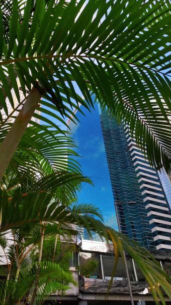 istock Low angle view of buildings 1345404913