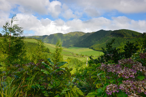 Azores lush green patchwork pastures and small dense woods. Atlantic Ocean meeting the sky in the horizon.