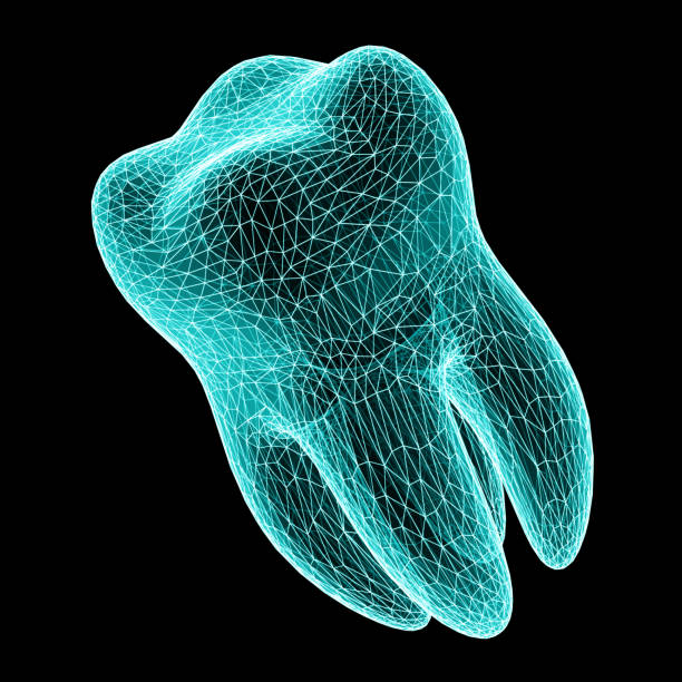 3D mesh of a tooth isolated on black background. stock photo