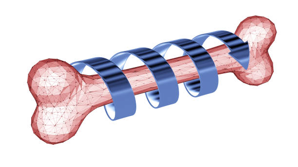 uzdrowienie ludzkiej kości spiralną strzałką wyizolowaną na białym tle. kość jest reprezentowana przez szkielet jako symbol nowoczesnej technologii. - 16368 zdjęcia i obrazy z banku zdjęć