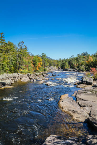 Penobscot River surrounded by early fall foliage in Baxter State Park Maine stock photo