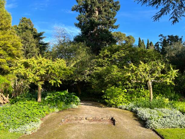 istock Scenic garden with Japanese maples and sky 1345410371