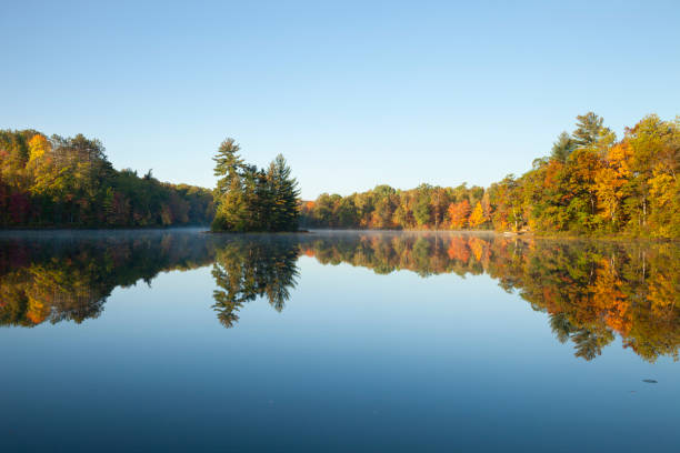 piękne jezioro z drzewami w kolorze jesiennym i mała wyspa w północnej minnesocie w spokojny, pogodny poranek - clear sky reflection sunlight autumn zdjęcia i obrazy z banku zdjęć
