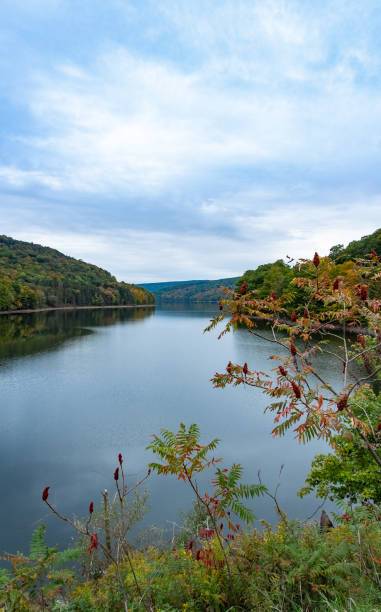 istock Beautiful lake and forest, framed by foliage in foreground 1345417033