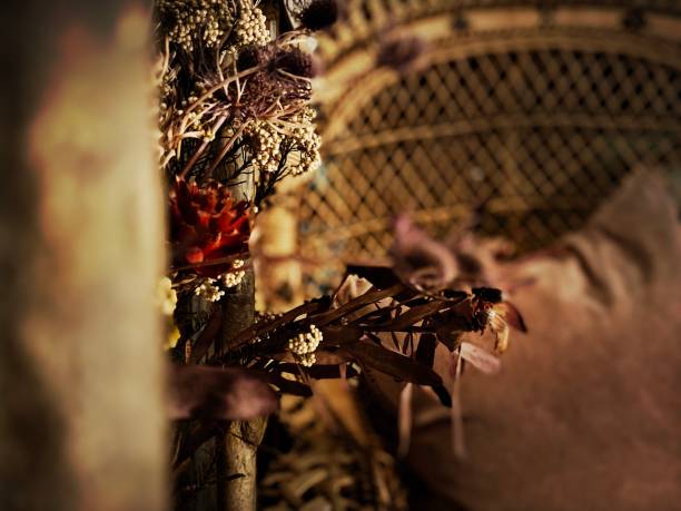 istock Peeking at a Dried Flower Still Life 1345418642