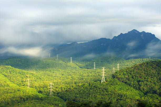 istock High voltage power poles in green forest with fog. 1345421687