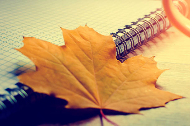 istock Yellow autumn leaf on a school notebook. Autumn concept, learning. 1345427688